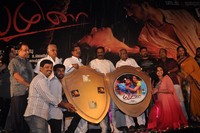Yamuna Movie Audio Launch Gallery
